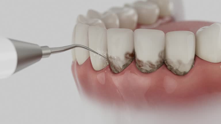 Reliable Dental contractor in L'Anse, MI by Dentist Open Now